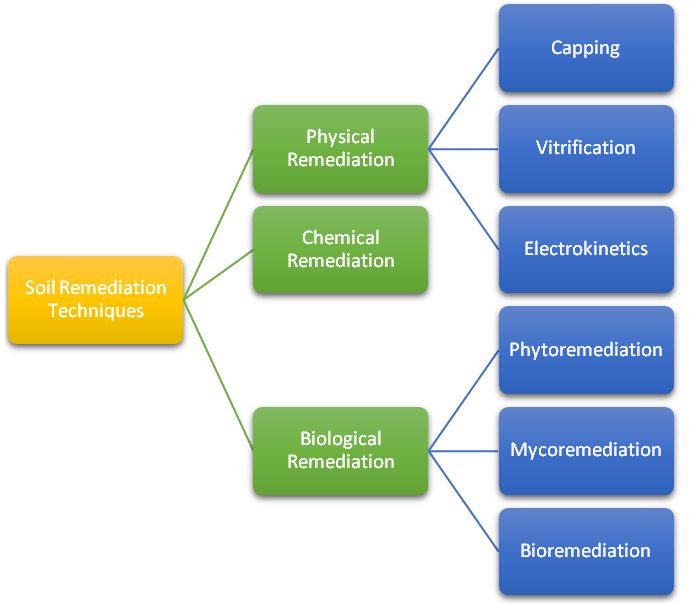 Graphical Abstract